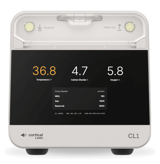 Swap Device